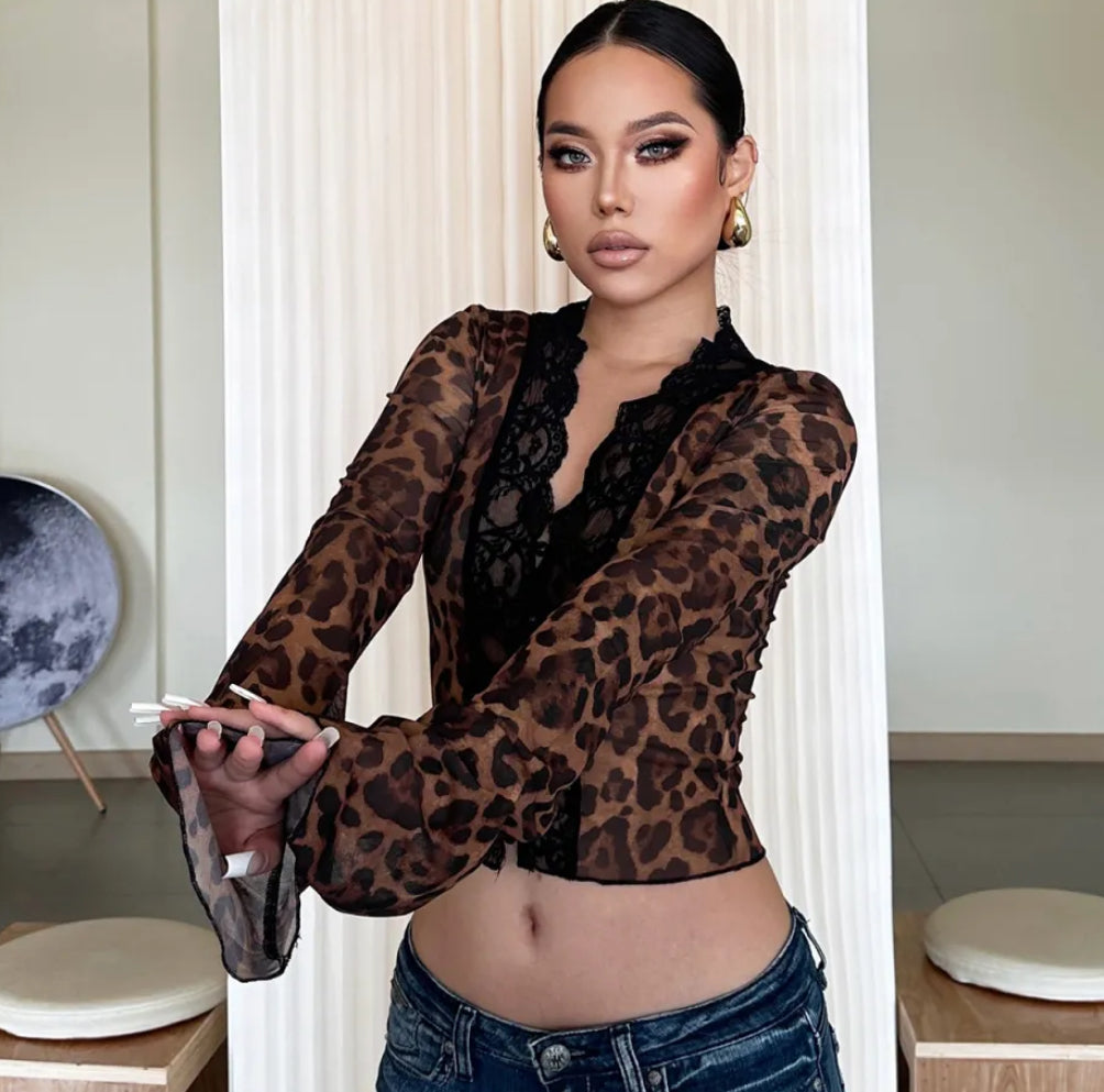 Dark feminine Mesh Blouse